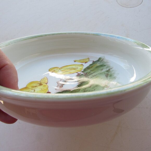 Hand Painted Vintage Ceramic German Chicken Bowl - Picture 3 of 4